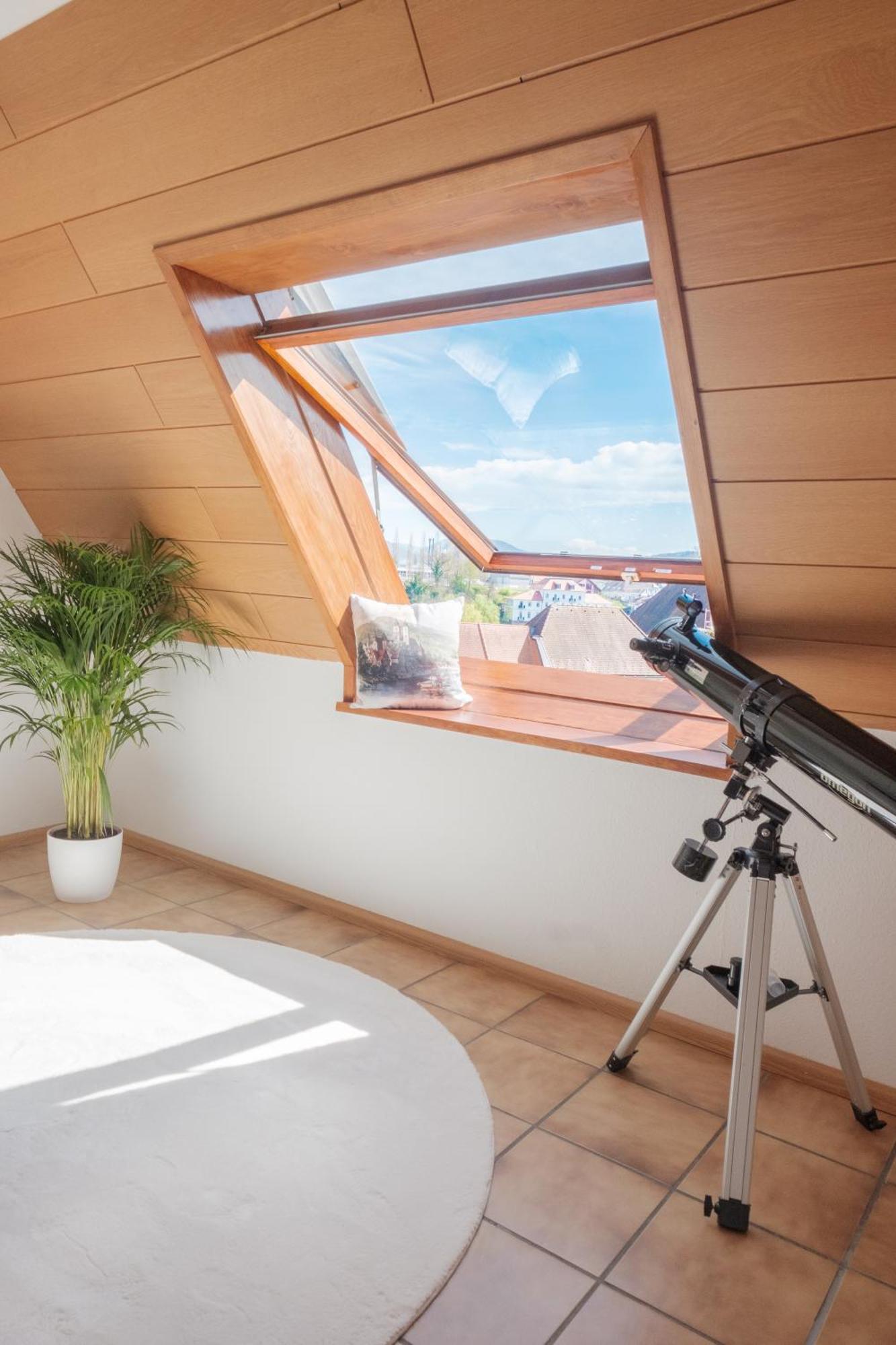 Neu Deluxe Suite Muensterblick, Maisonette, Kingsize Bett, Kueche, Netflix, Aussicht, E-Kamin Bad Sackingen Exterior photo
